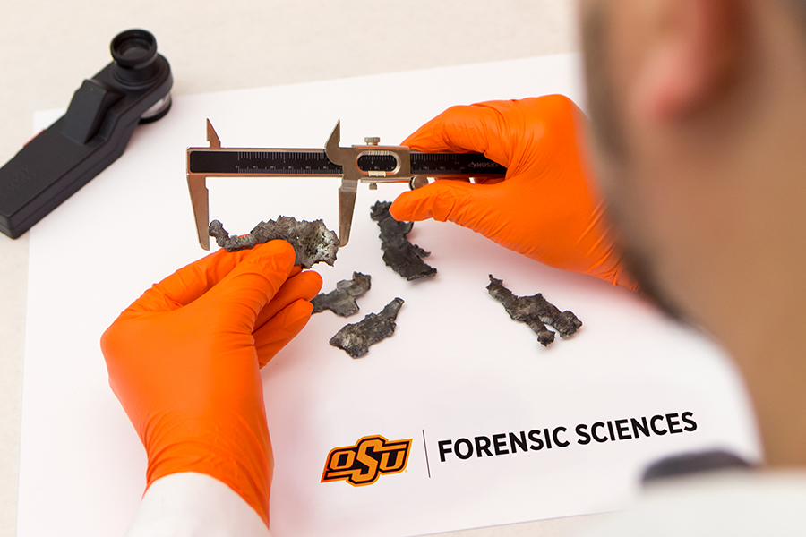 Someone studying forensic evidence