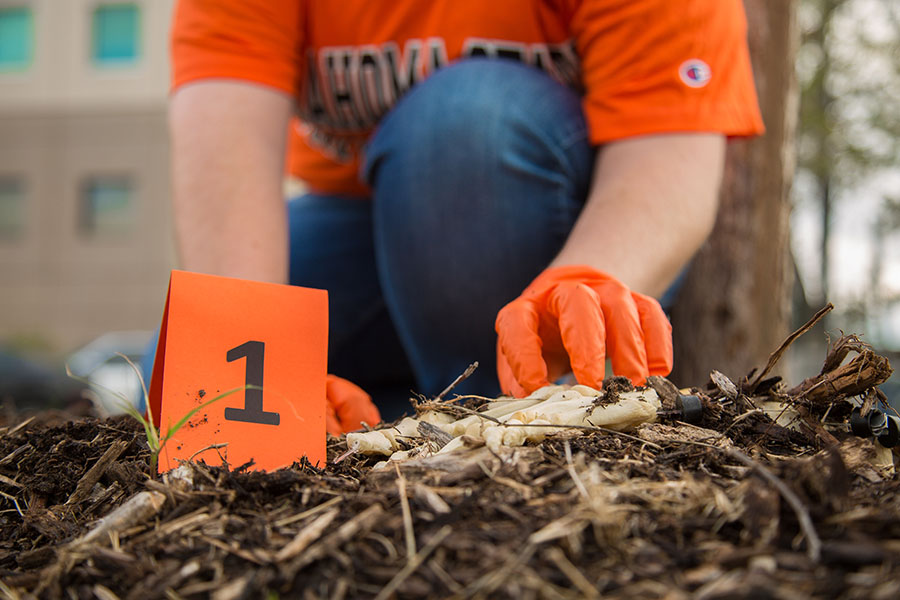 Student looking for evidence during outdoor lab