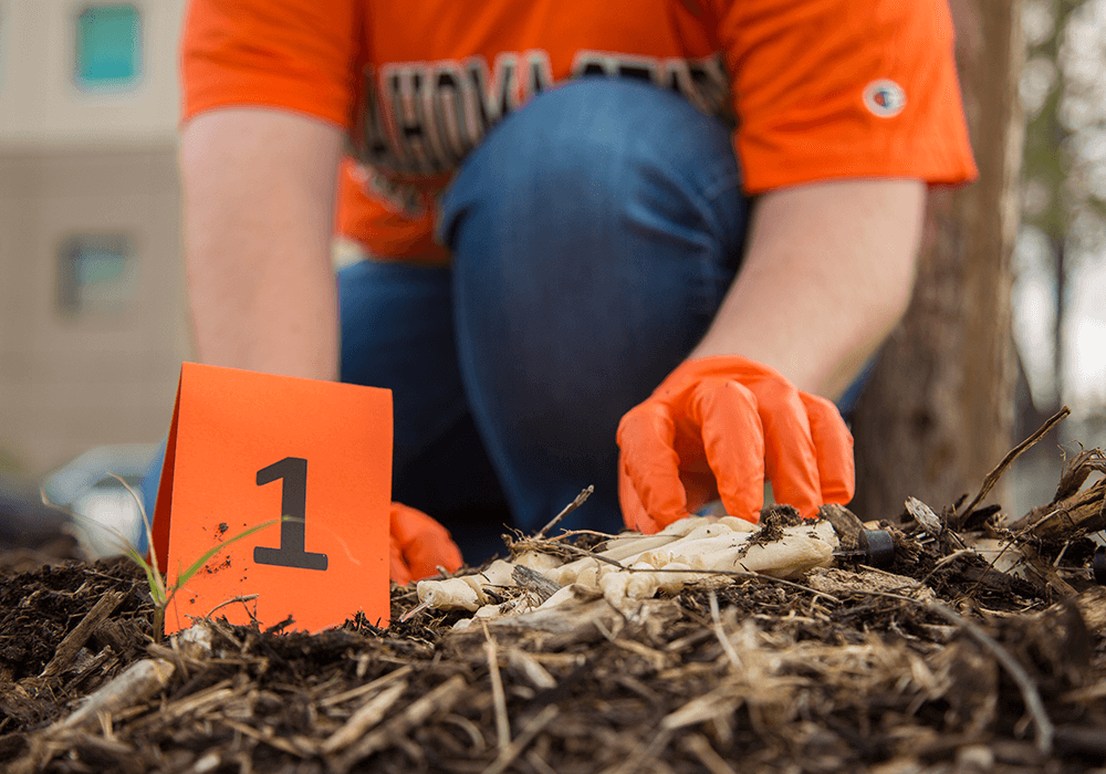 forensics-09.png A forensic science student works with bones at the Oklahoma State University Center for Health Sciences