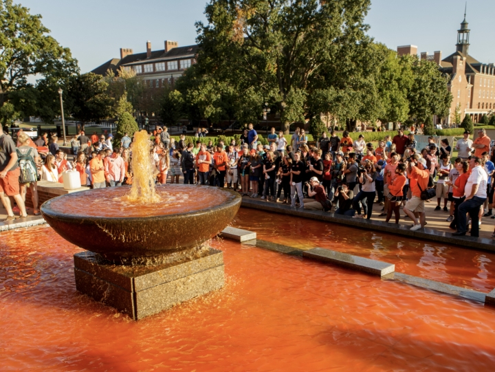 This is alt text for the image This is alt text for the image