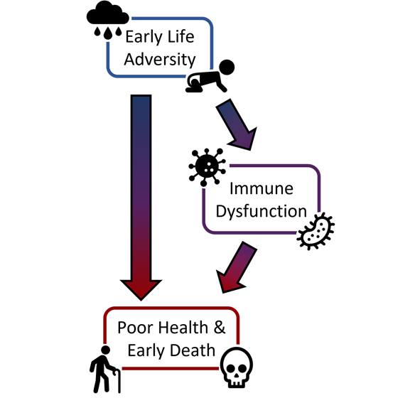 depressive disorder chart