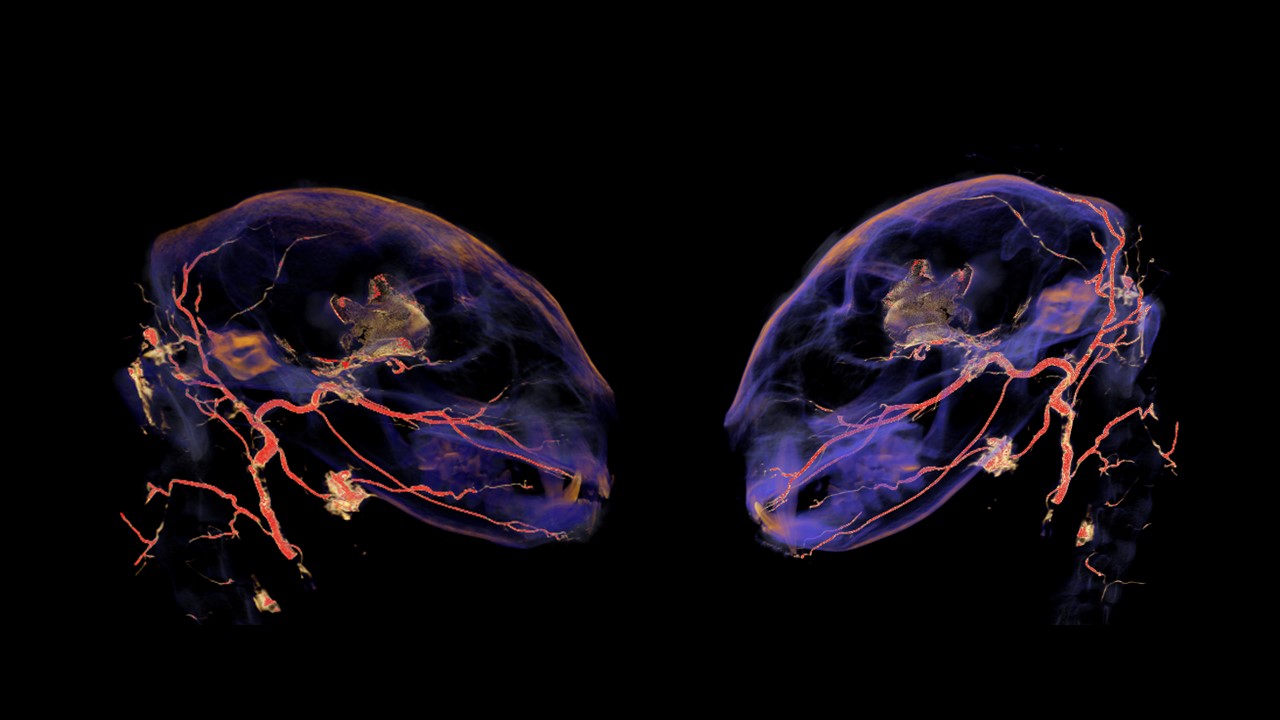 katherine slenker katherine slenker