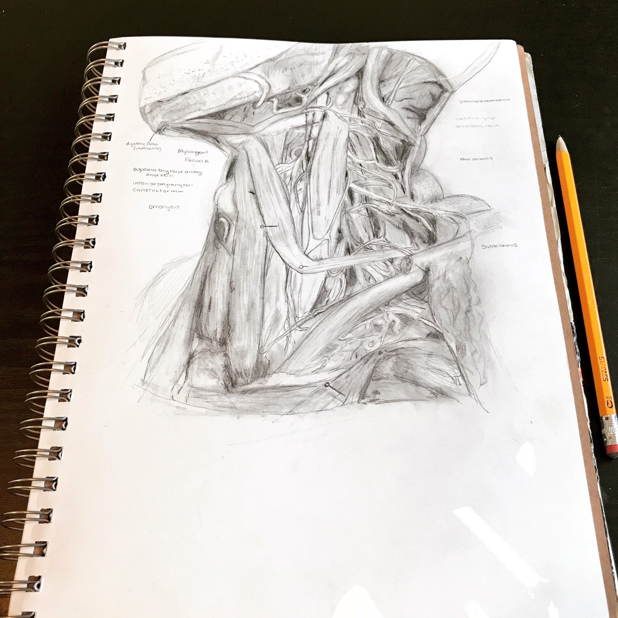 porbeski paper three porbeski paper three