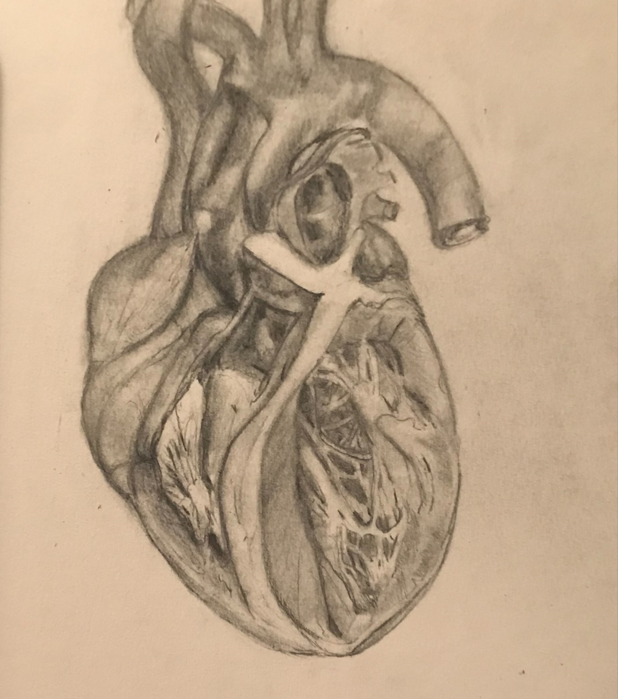 porbeski paper two porbeski paper two